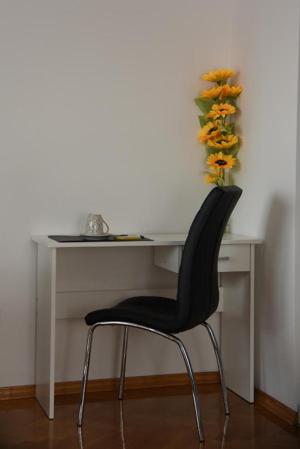 Apartman Elly سلافونسكي برود المظهر الخارجي الصورة